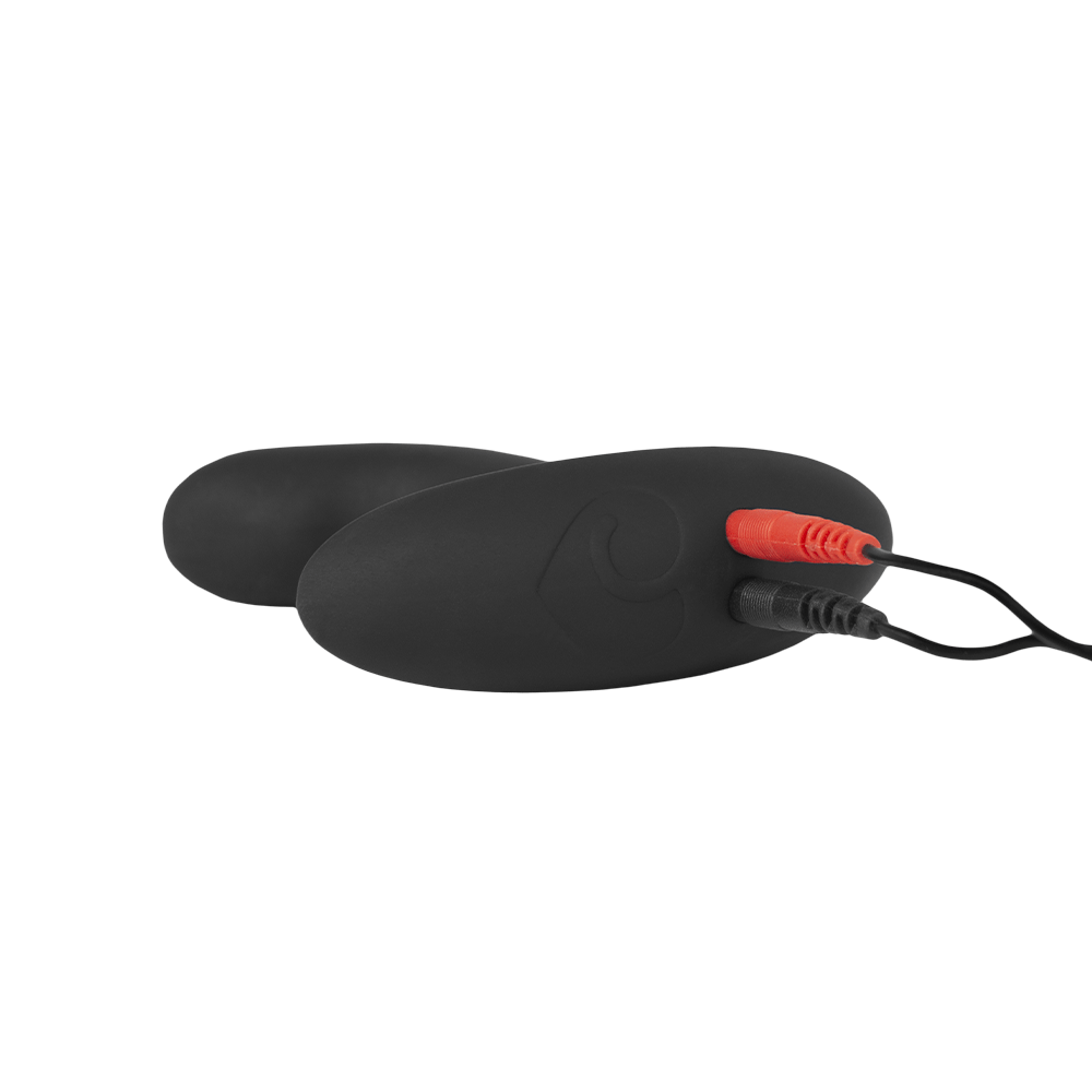 Lovehoney x ElectraStim Electro Booty Buddy Prostate Massager-Dildos and Probes electro sex- estim Europe -ElectraStim